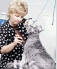 Animal Services Insurance Olympia, Aberdeen, Grays Harbor, WA