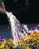 Landscaping Insurance Olympia, Aberdeen, Grays Harbor, WA