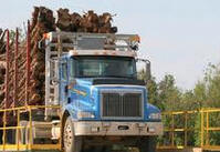 Log Truck Insurance Olympia, Aberdeen, Grays Harbor, WA